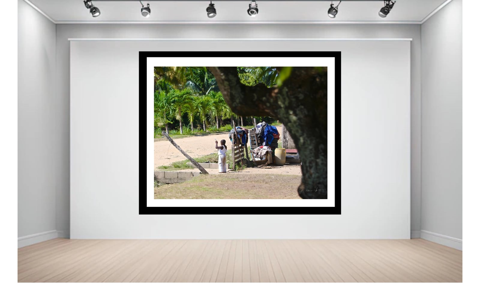 A framed garden photograph on a lit white gallery wall