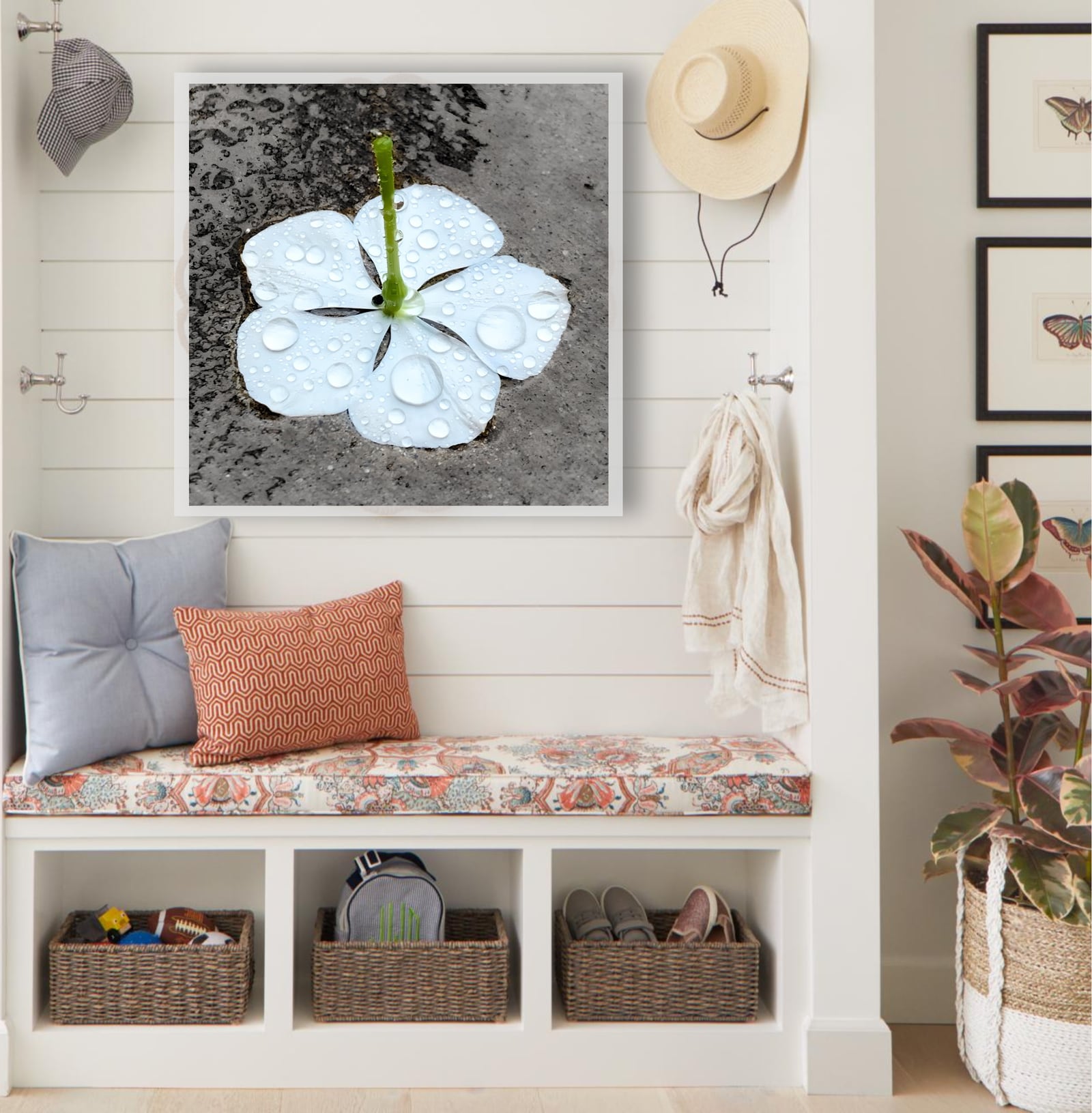 A framed white flower photograph above a cushioned bench in a bright entryway