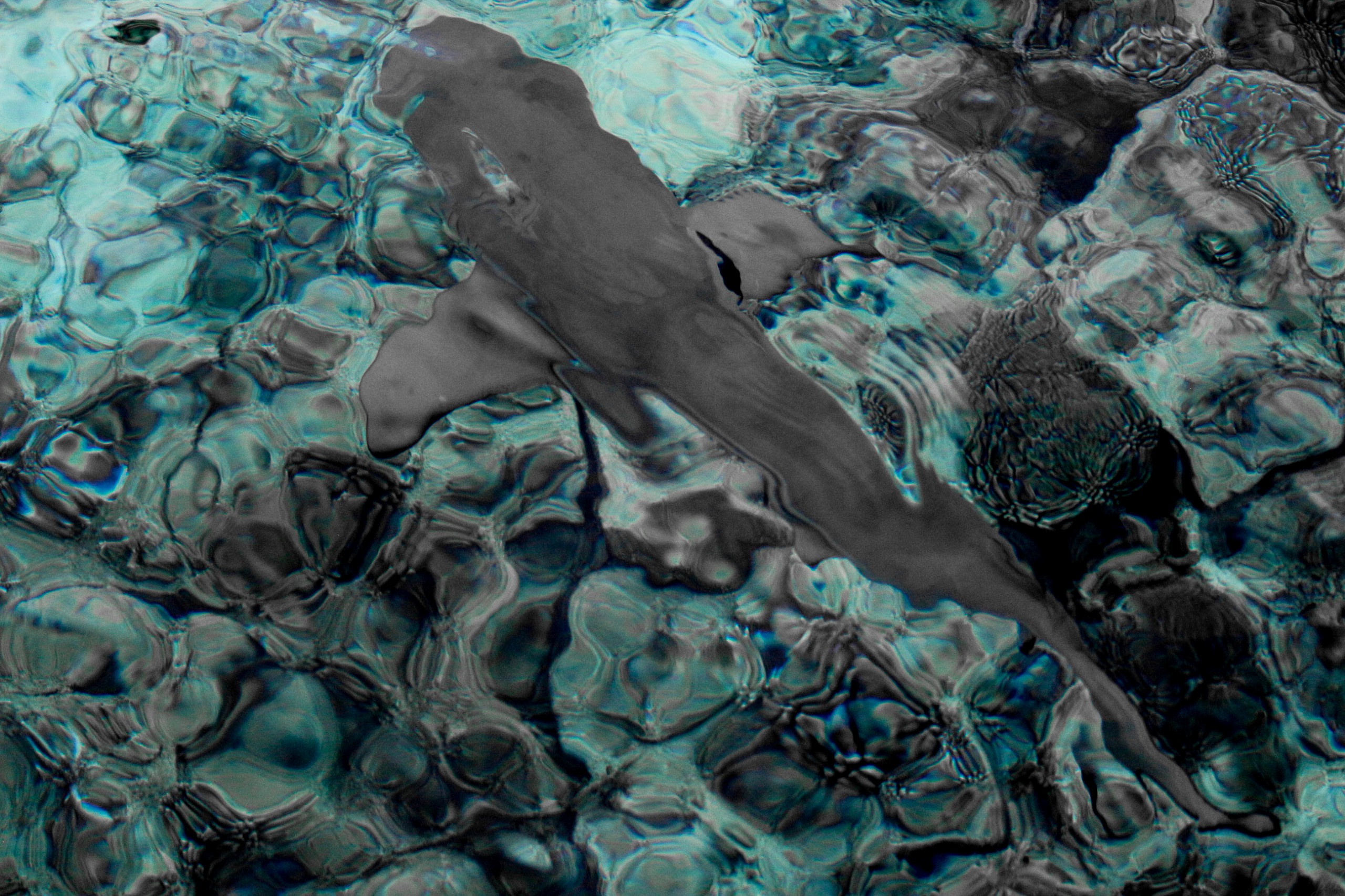 Black Tip - Aquamarine Camouflage | Maldives | Collector's Series