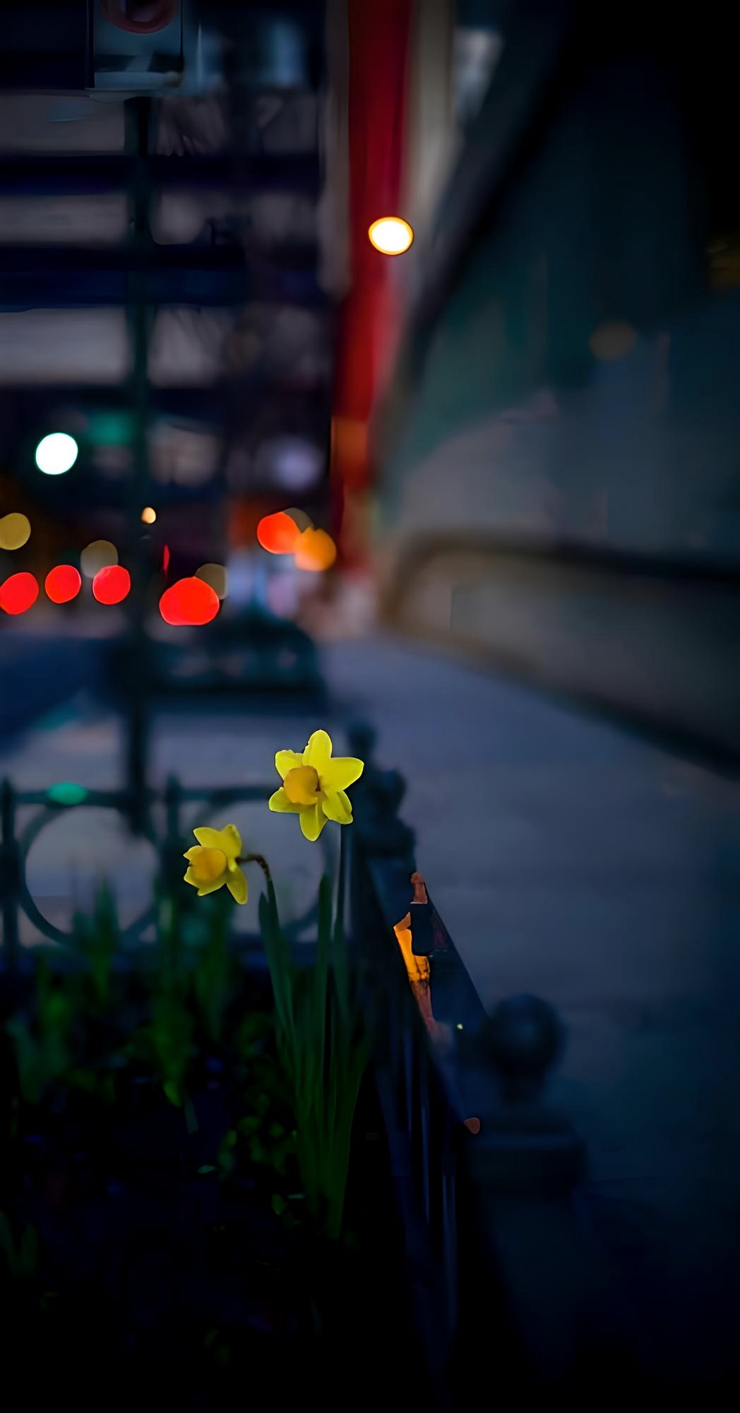 Downtown Daffodil | Atlanta | Limited Edition