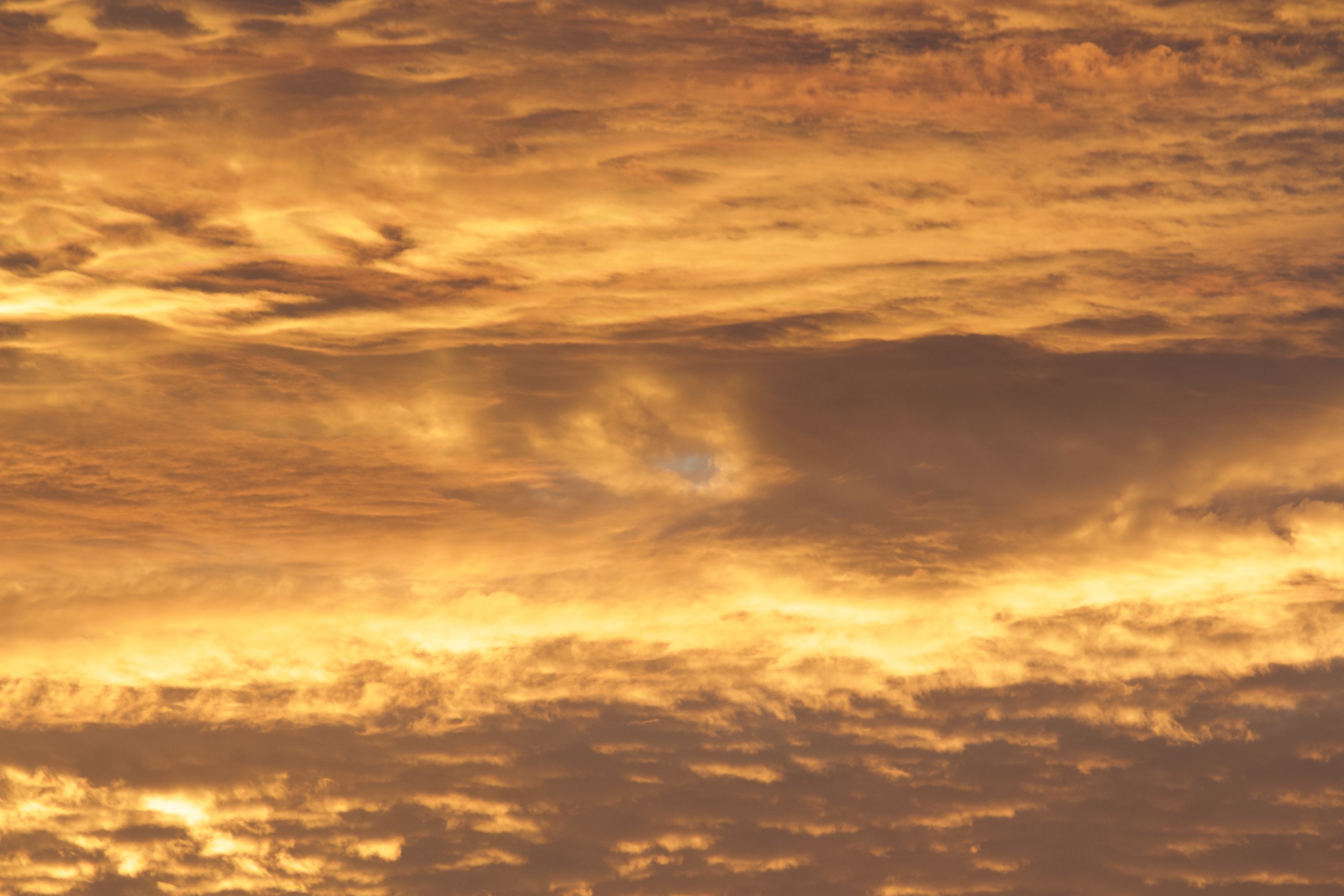 Eye in the Sky | Myrtle Beach, SC