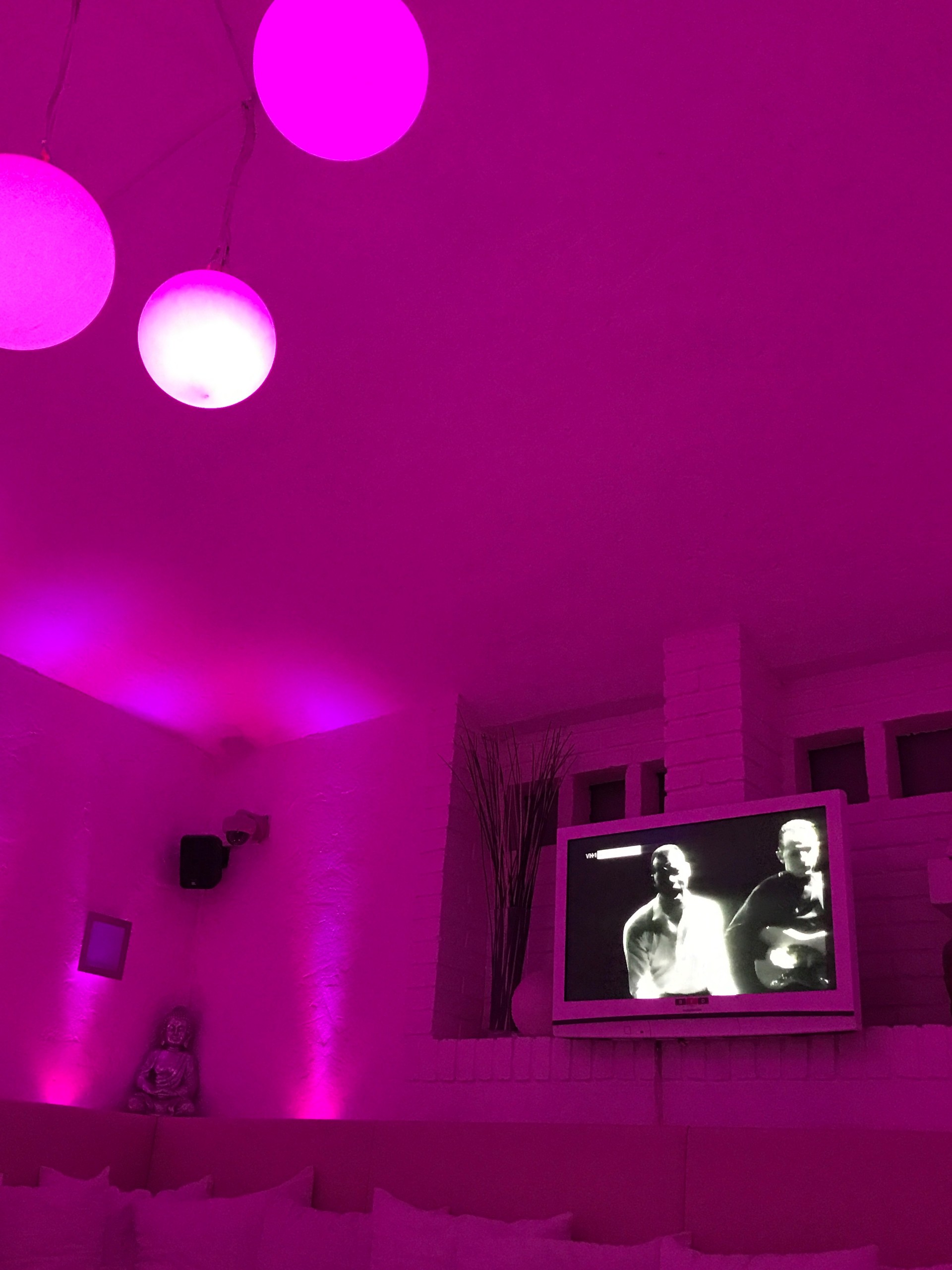Fuchsia Have Been There FYC | Prague | Limited Edition