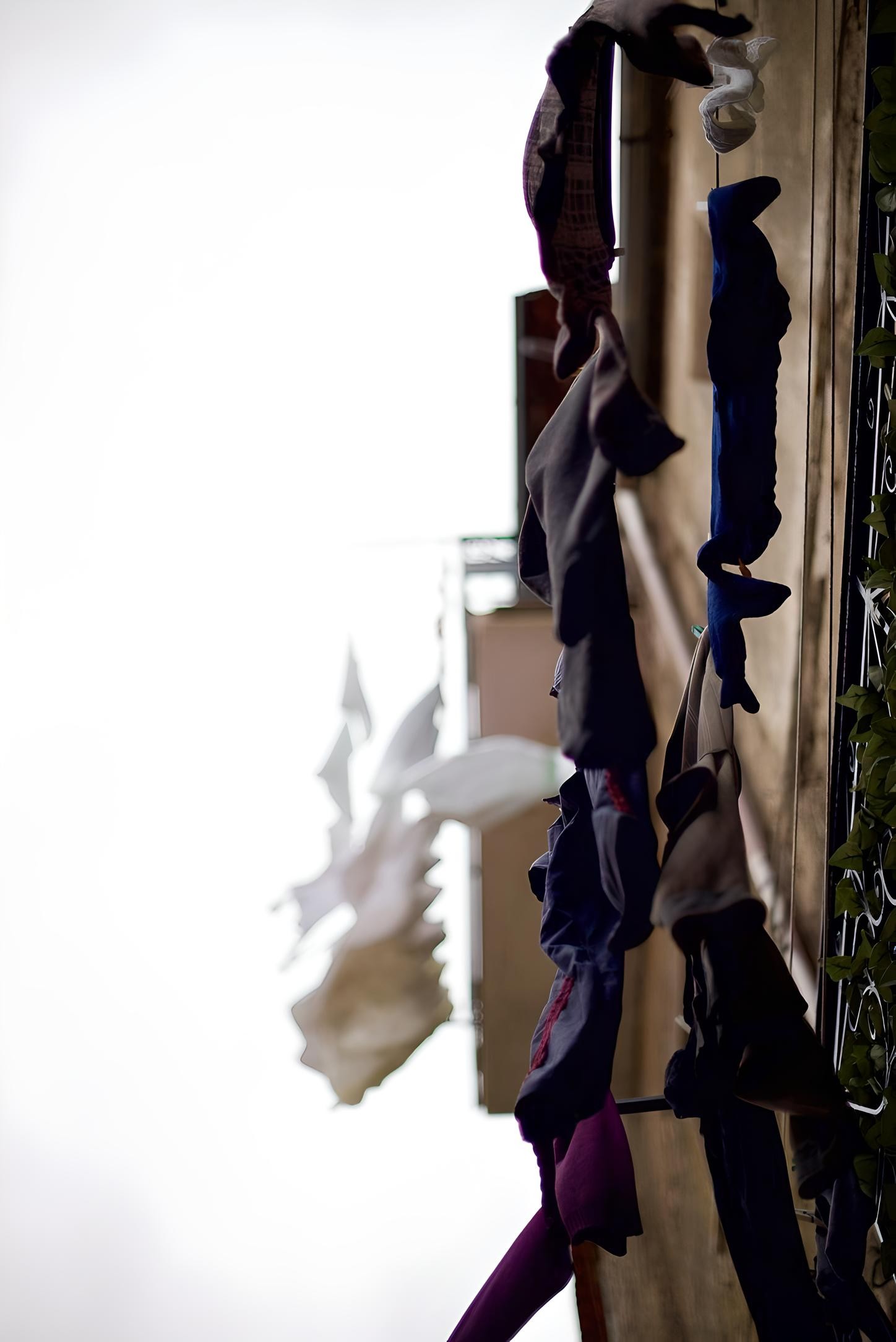 Line Dry | Laurito