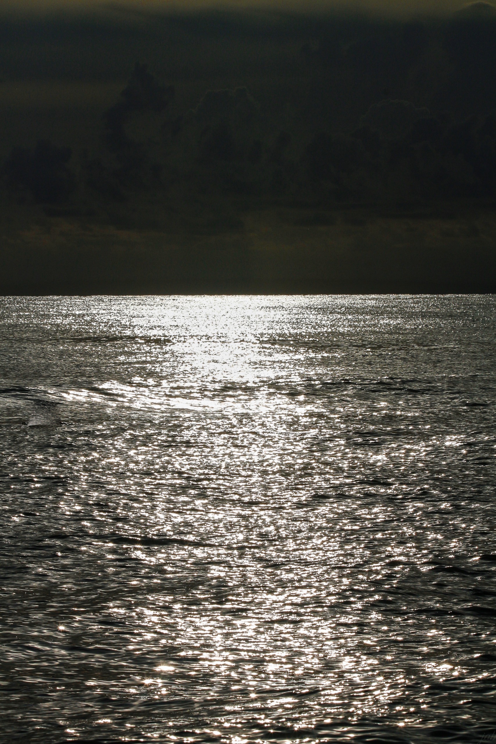 Mercury Rising | Pacific Beach
