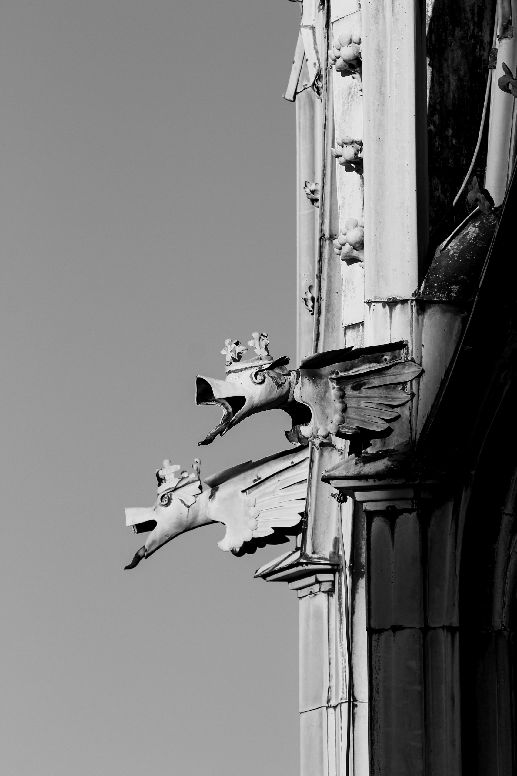 Sentinels of St. Vitus | Prague | Limited Edition