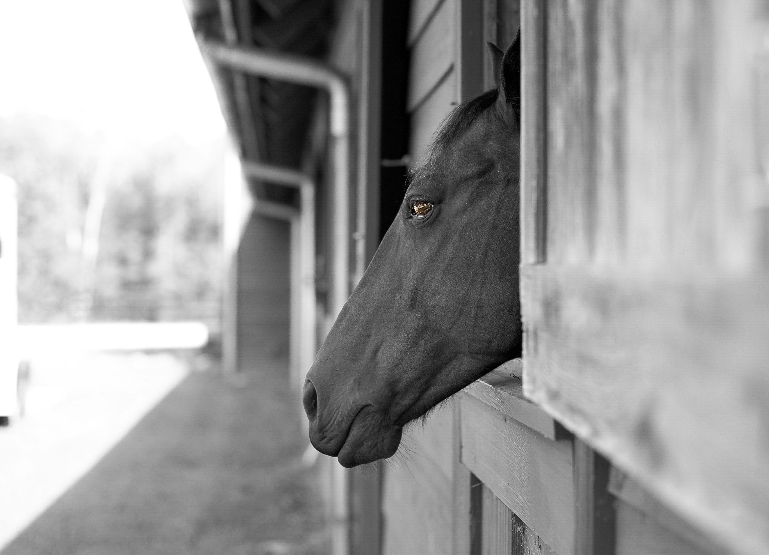 Serenbe ~ Contemplation | Chattahoochee Hills, GA | Collector's Series